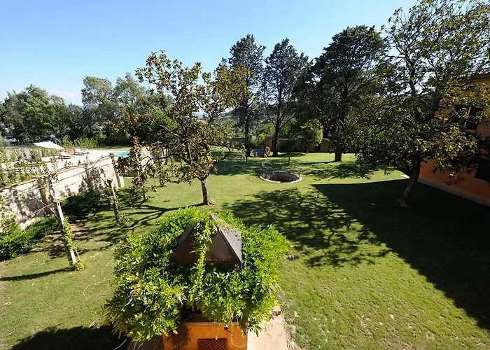 Forasiepi بيرودجا